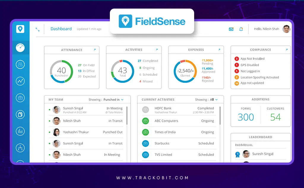 Fieldsense