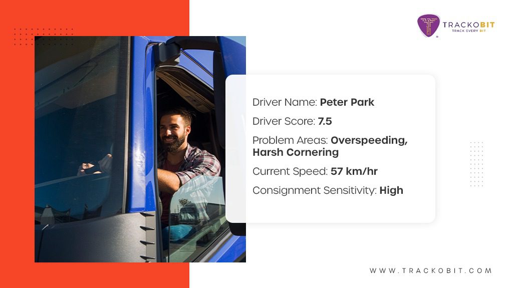 AI driver behaviour analysis