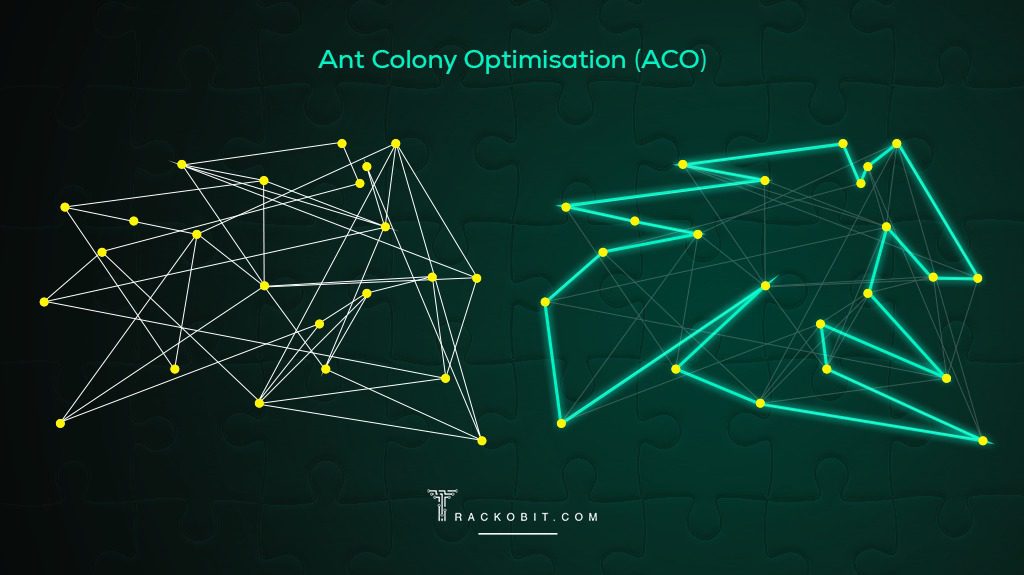 Ant Colony Optimisation (ACO) - Traveling Salesman Problem