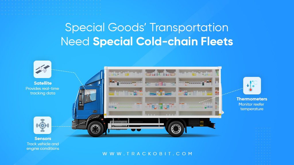 Special Cold Chain Fleet